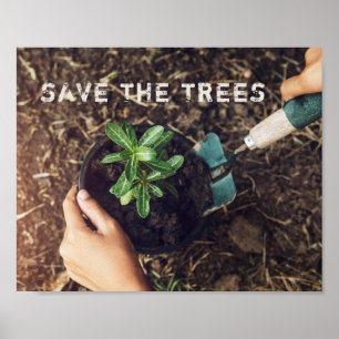Affiche Sauver Les Arbres Plantation D'arbres Environnemen