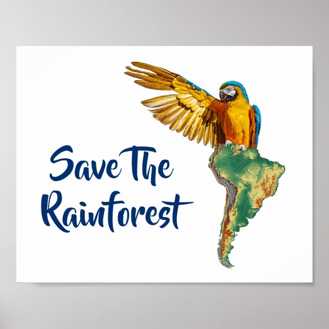 Affiche Sauvez La Rainforest (Devant)