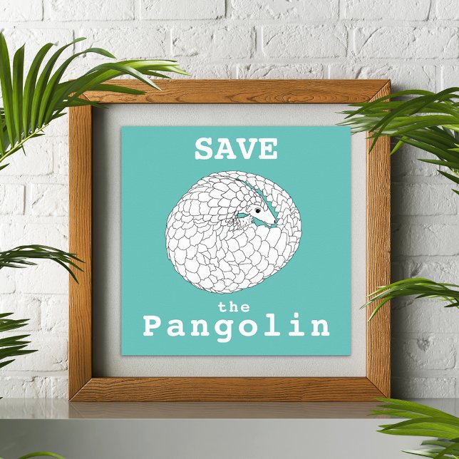 Affiche Sauvez le Pangolin en danger Anima Wildlife Art (Pangolin animal art save the pangolin slogan teal green and white poster)