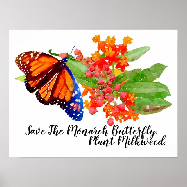 Affiche Sauvez Le Papillon Monarque. Plante Milkweed. (Devant)