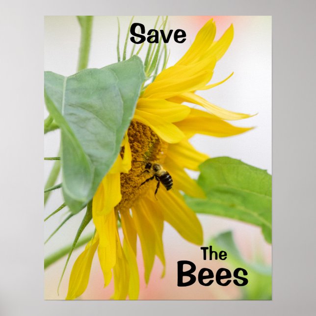 Affiche Sauvez les abeilles (Devant)