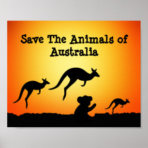 Affiche Sauvez les animaux d'Australie