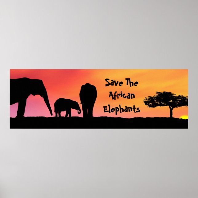 Affiche Sauvez les éléphants africains (Devant)