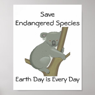 Affiche Sauvez les espèces en péril Koala 