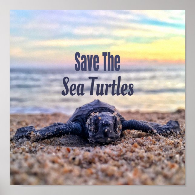 Affiche Sauvez les tortues marines (Devant)
