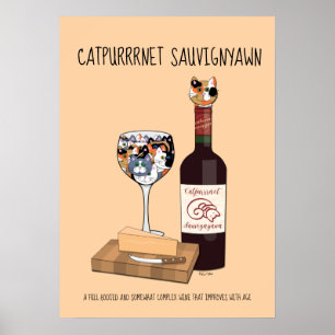 Affiche Sauvigyawn