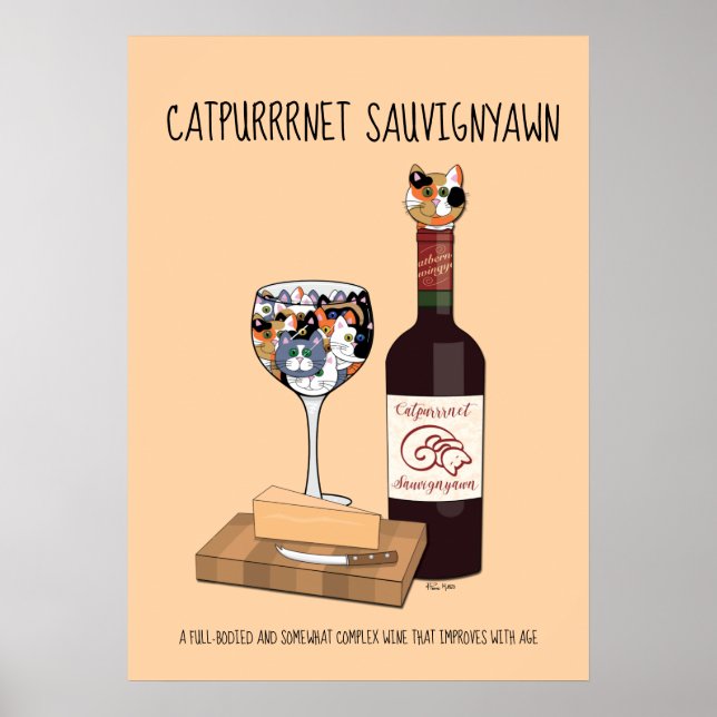 Affiche Sauvigyawn (Devant)