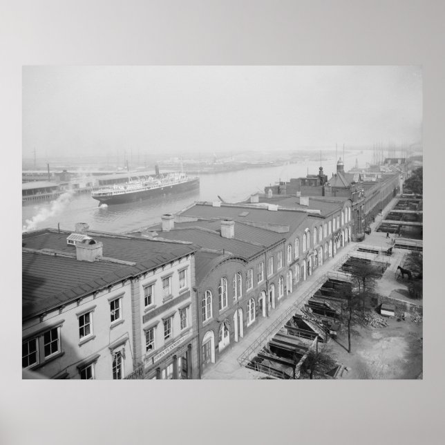 Affiche Savannah (Devant)