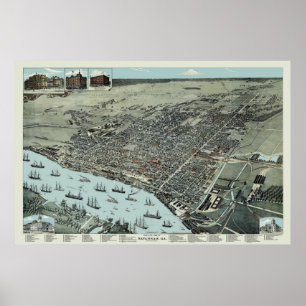 Affiche Savannah Georgia 1891 Oiseaux Vue des yeux Carte V