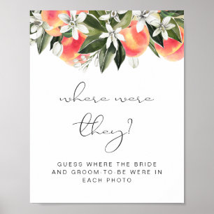 Affiche SAVANNAH Peach Guess Where Were They Baby Shower M