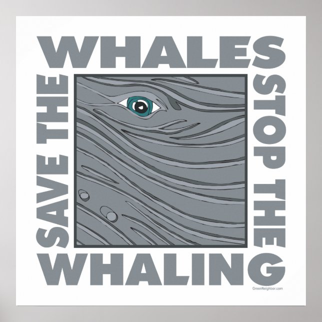 Affiche Save the Whales (Devant)