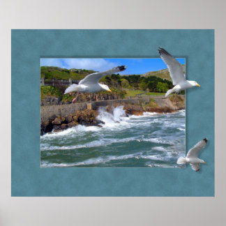 Affiche Scape Seagull