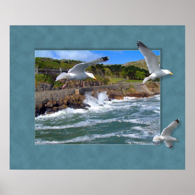 Affiche Scape Seagull (Devant)