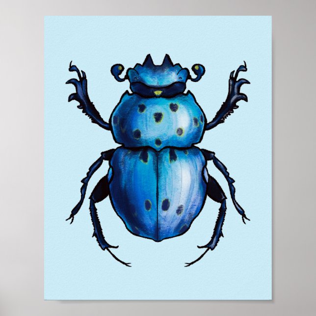Affiche Scarab Beetle Art Blue Entomology Insect (Devant)