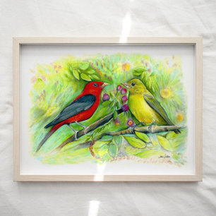 Affiche Scarlet Tanager Birager Aquarelle Art Imprimer