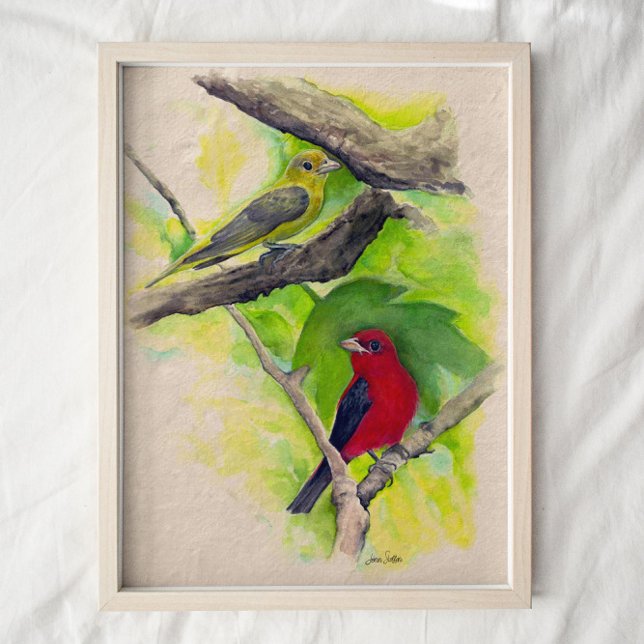 Affiche Scarlet Tanagers Birds Aquarelle Art Imprimer (Créateur téléchargé)