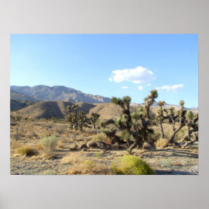 Affiche Scène 06 de désert de Mojave