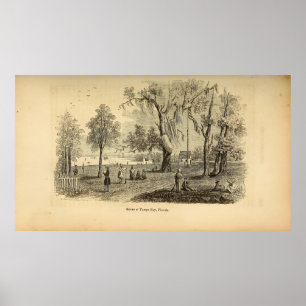 Affiche Scène à Tampa Bay