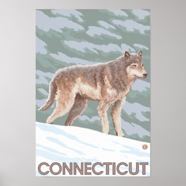 Affiche Scène ConnecticutWolf (Devant)