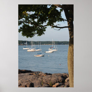 Affiche Scène de baie
