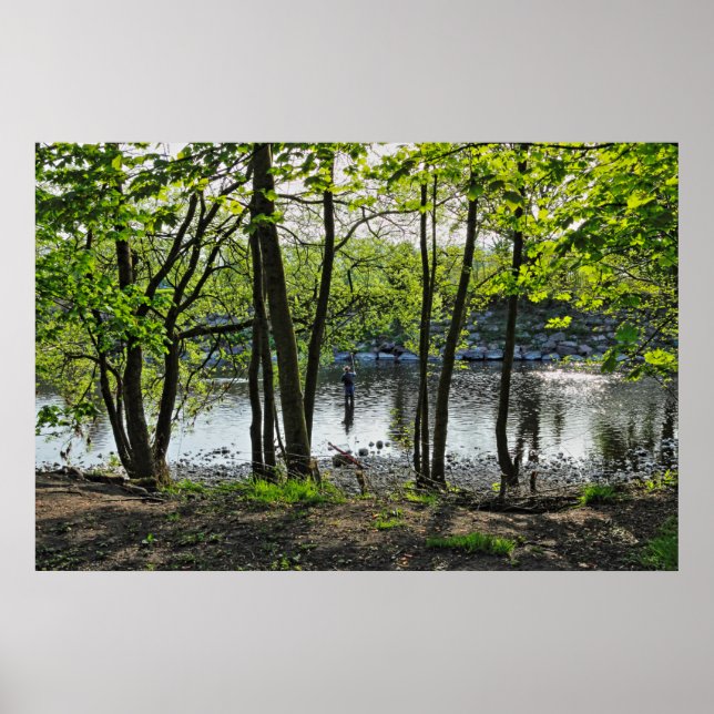 Affiche Scène De Bois. Blackweir Woods, Cardiff (Devant)