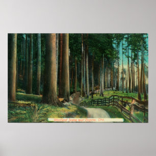 Affiche Scène de bois Eugène, OR