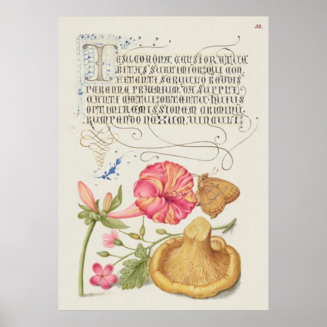 Affiche Scène de jardin avec fleurs, papillon et champigno (Devant)