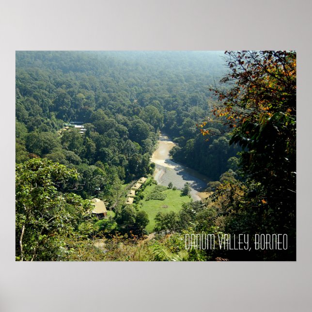 Affiche Scène de jungle de la forêt tropicale de Danum Val (Devant)