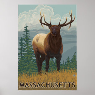 Affiche Scène de MassachusettsElk