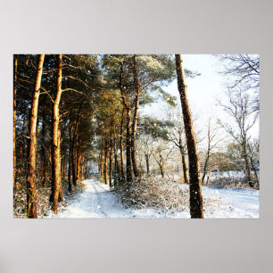 Affiche Scène de neige de la forêt wapcnm