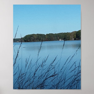 Affiche Scène du lac