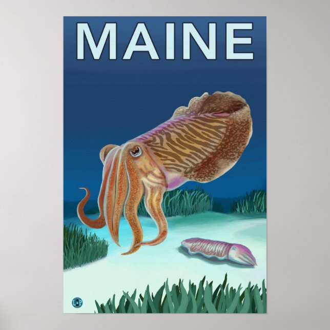 Affiche Scène MaineCuttlefish (Devant)