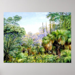 Affiche Scène nord - Forêt dans l'ouest de l'Australie