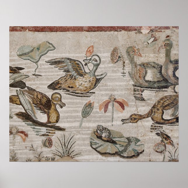 Affiche Scene of waterfowl on the Nile (Devant)