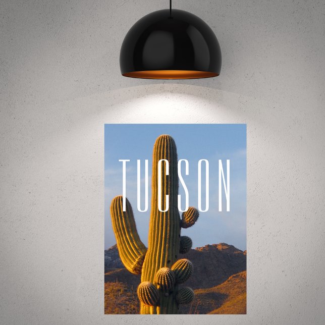 Affiche Scène Sunlit Saguaro Tucson (Créateur téléchargé)
