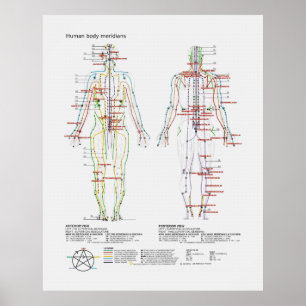 Affiche Schéma du Chinois ou des méridiens de corps humain