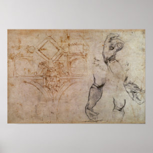 Affiche Schéma du plafond de la chapelle Sixtine, c.1508