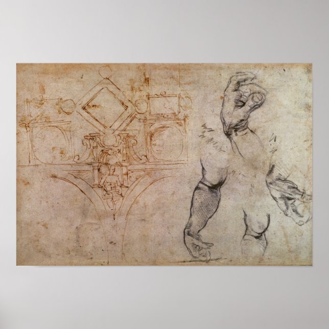 Affiche Schéma du plafond de la chapelle Sixtine, c.1508 (Devant)