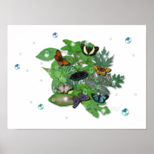 Affiche Schmetterlinge mit Blätter, Regentropfen, Perlen