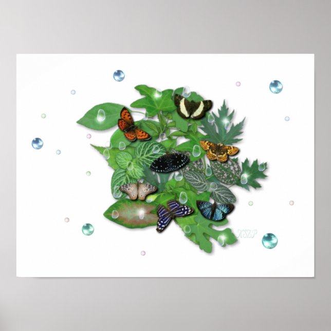 Affiche Schmetterlinge mit Blätter, Regentropfen, Perlen (Devant)
