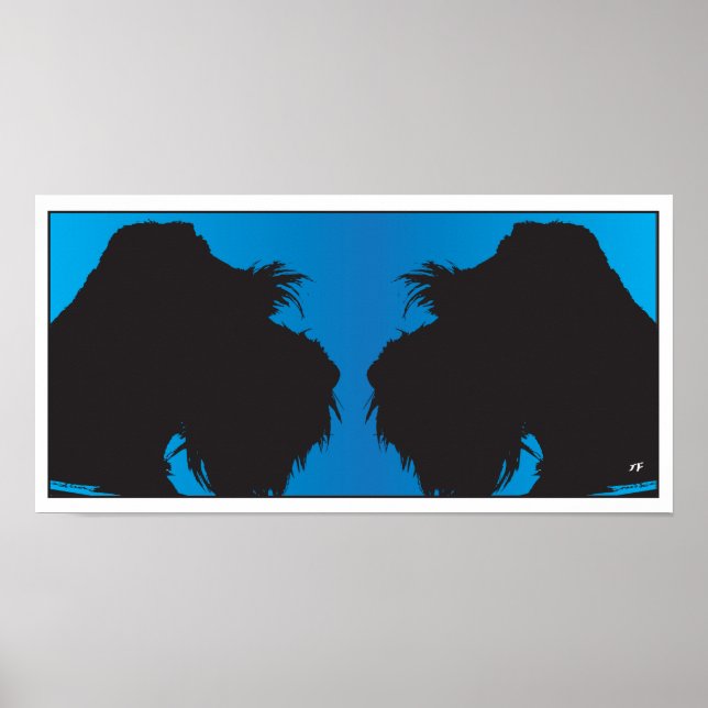 Affiche Schnauzer (Devant)