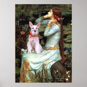 Affiche Schnauzer 9 - Ophelia assise