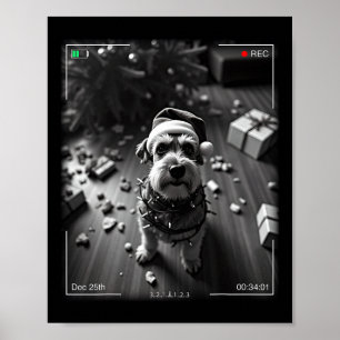 Affiche Schnauzer de Noël pris en caméra