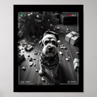 Affiche Schnauzer de Noël pris en caméra