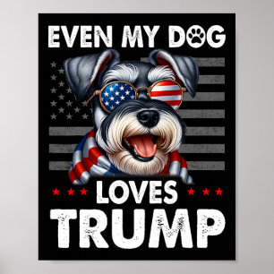 Affiche Schnauzer même mon chien aime Trump drôle