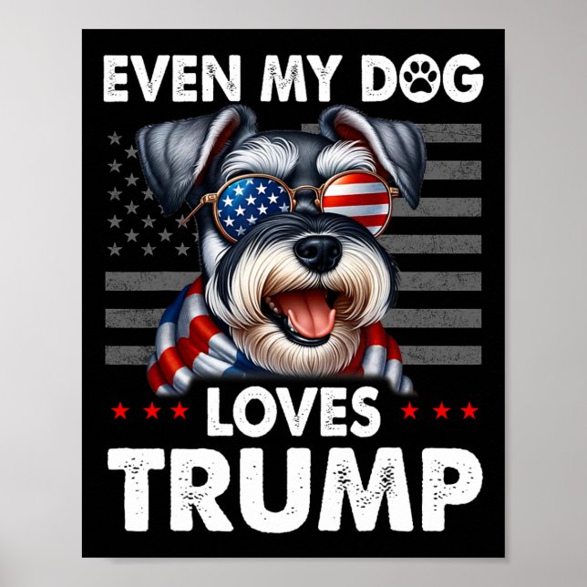 Affiche Schnauzer même mon chien aime Trump drôle (Devant)
