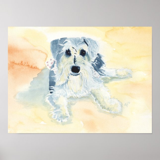 Affiche Schnauzer Mia (Devant)
