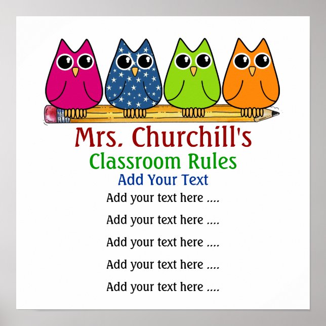 Affiche School Teacher's Classroom Rules - SRF (Devant)