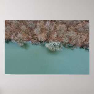 Affiche Schuylkill Trees Sanatoga