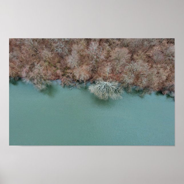 Affiche Schuylkill Trees Sanatoga (Devant)